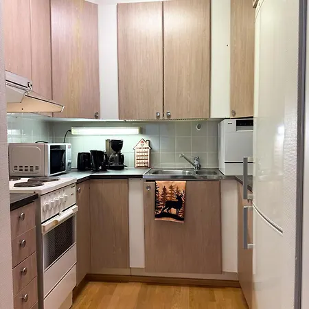 Apartment Northern Lights *