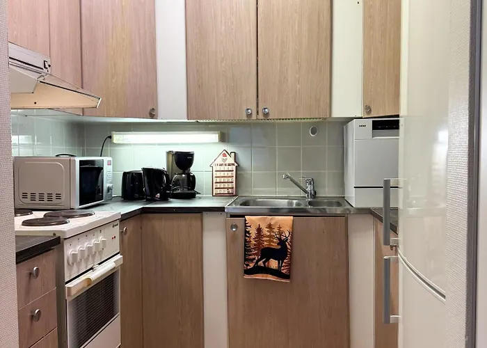 דירה Northern Lights *