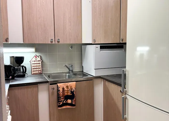 Northern Lights דירה *