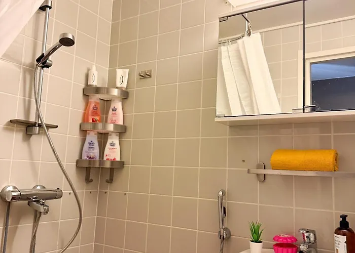 דירה Northern Lights רובניימי